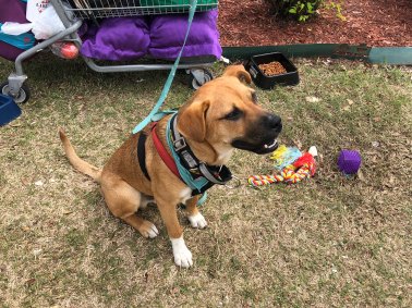 32790971757_2f96d25cb7_k